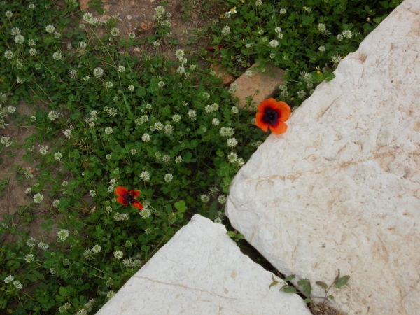 Διήμερη εκπαιδευτική εκδρομή στην Καλαμάτα